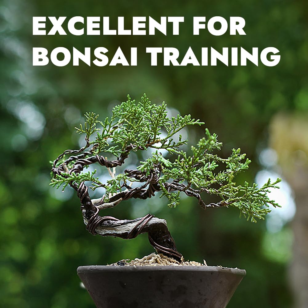 Tenn Well 9 Gauge Aluminum Wire, 50 Feet 3mm Bendable Craft Wire for Bonsai Training, Sculpting, Doll Making, Jewelry Making, Crafting (Bronze)