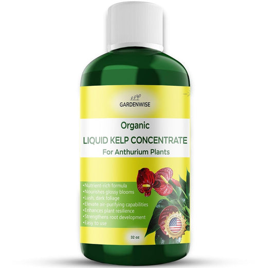 Organic Premium Seaweed Anthurium Fertilizer - Liquid Kelp Plant Food - Nutrient-Rich Soil Enhancer (32 OZ)