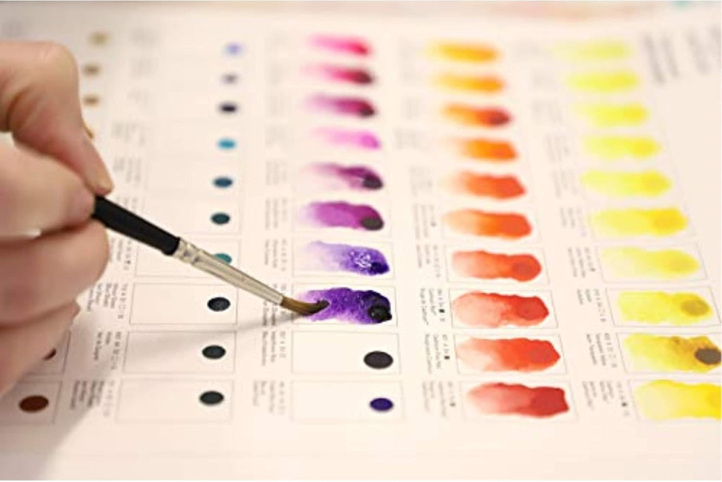 Winsor & Newton Professional Watercolour Dot Card, 1 Count (Pack of 1), All Colors