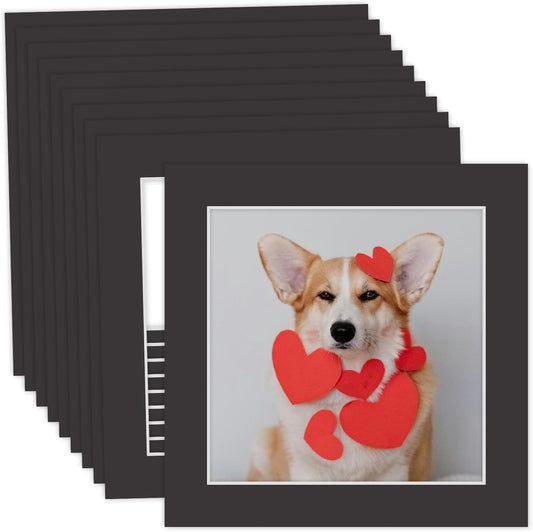 MBC Mat Board Center, 10 Pack 10x10 for 8x8 Black Picture Mats Frame Mattes, Bevel Cut, Acid Free, 4-ply Thickness
