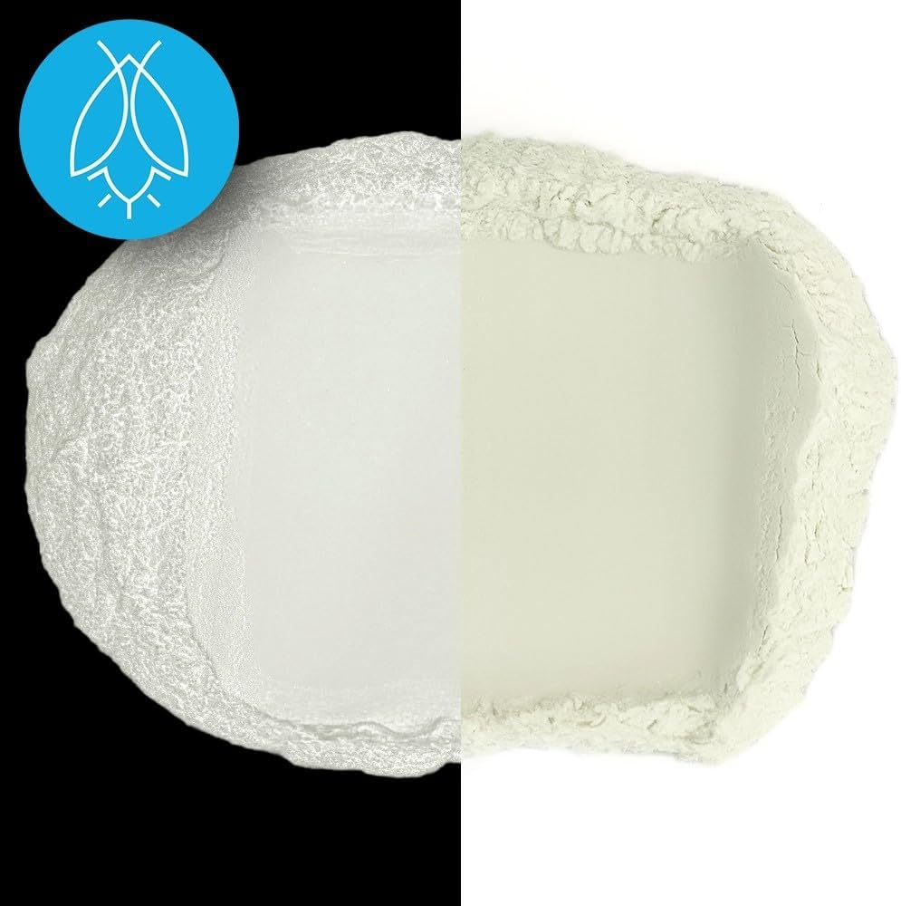 Glow in The Dark Pigment Powder - Neutral and Fluorescent Color for Art Painting, Fine Art, Nail Art Paint, and DIY Crafts - Long Lasting 10+ Color Options - Neutral White - (1 Kilogram)