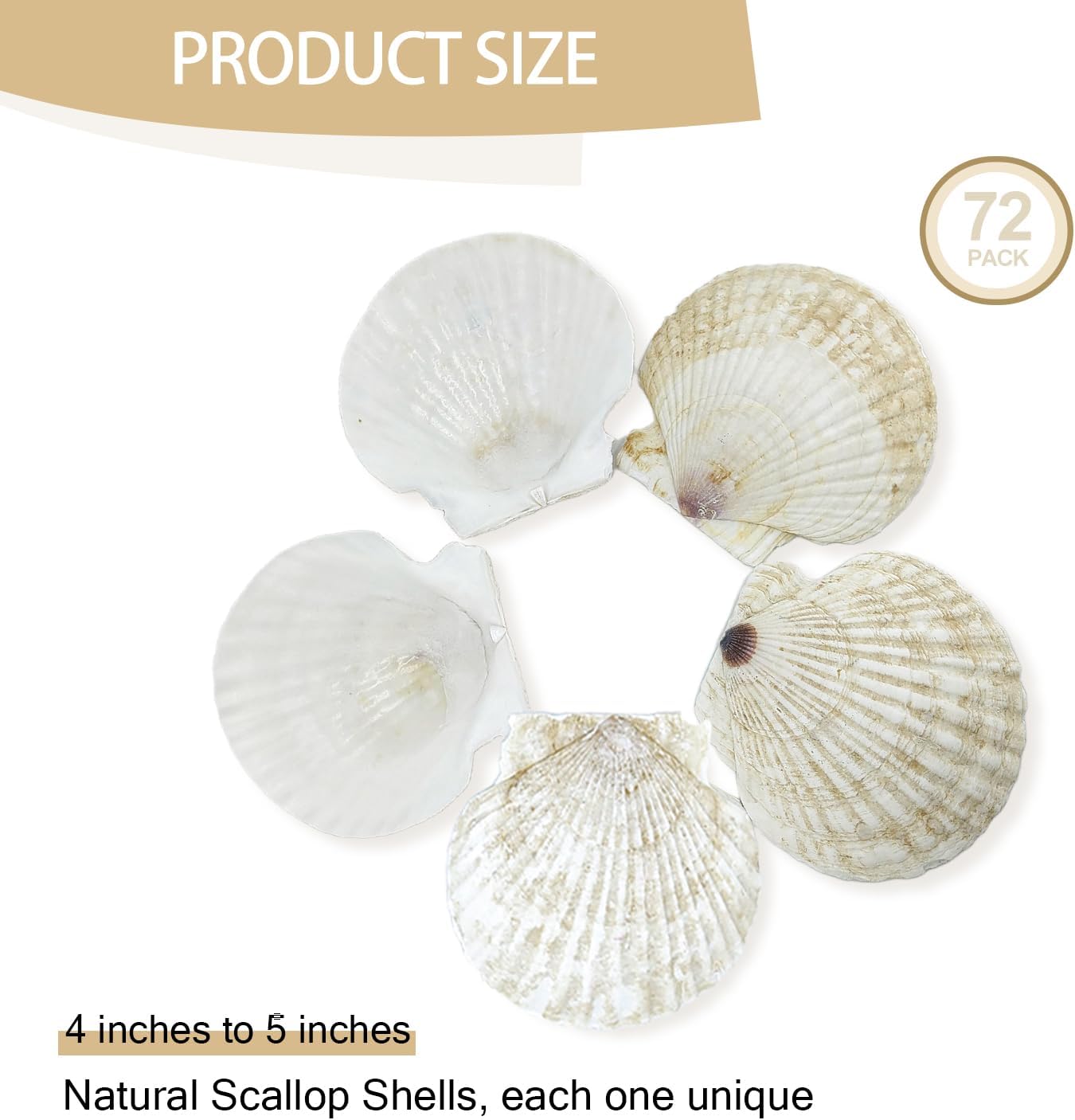 YOUKE OLA 72PCS Scallop Shells for Crafts Large Beach Natural Shells Bulk for Decoupage DIY Crafts Seashell Decorations Home Decor White 4''-4.5''