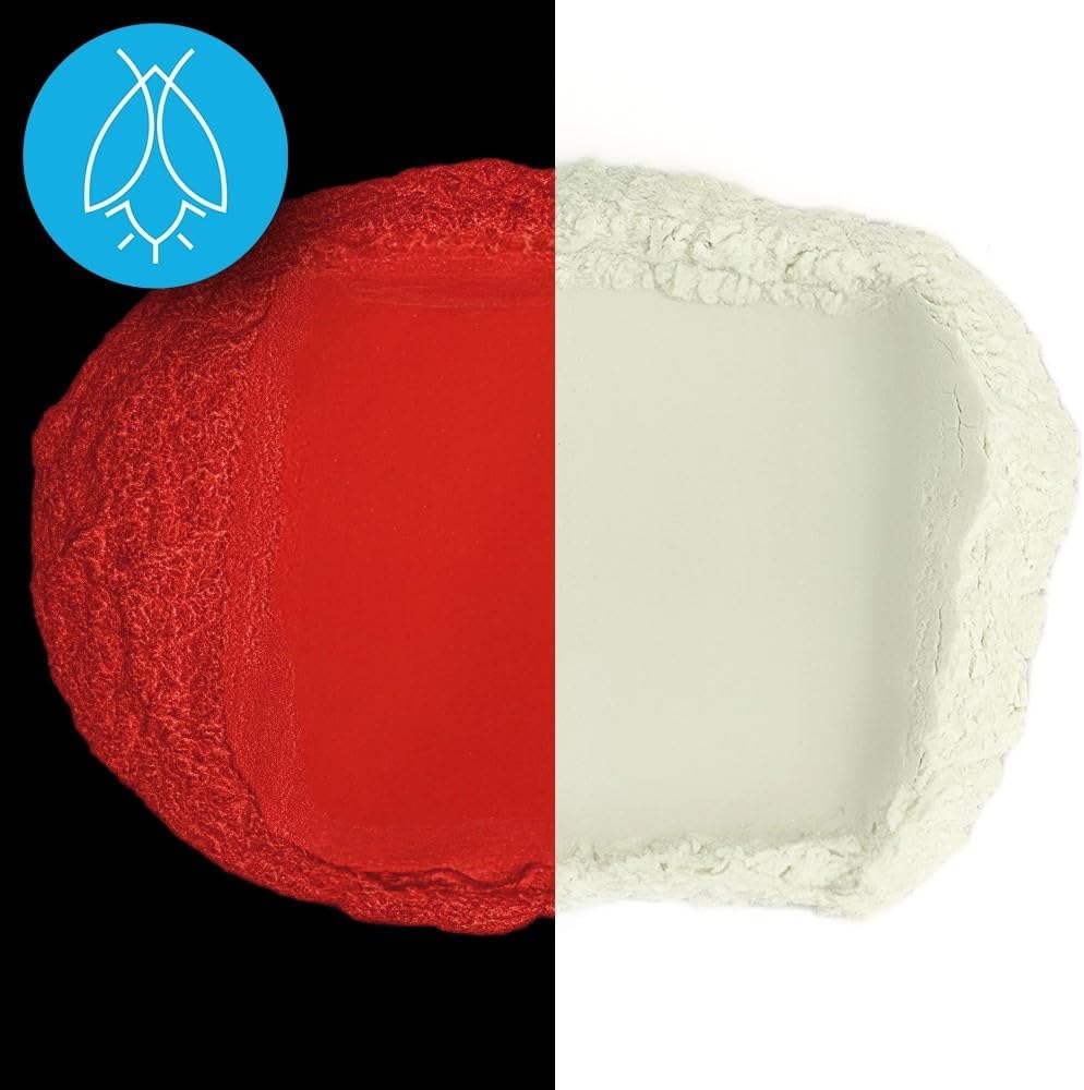 Glow in The Dark Pigment Powder - Neutral and Fluorescent Color for Art Painting, Fine Art, Nail Art Paint, and DIY Crafts - Long Lasting, 10+ Color Options - Neutral Red - (60 Grams/ 2.12 oz)