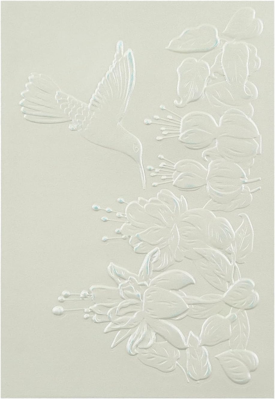 BAOFALI 3D Embossing Folder for Card Making,Hummingbird and Flowers Clear Plastic Texture Fades Embossing Folder Template for Scrapbooking and Other Paper Craft Album Stamps DIY Decoration