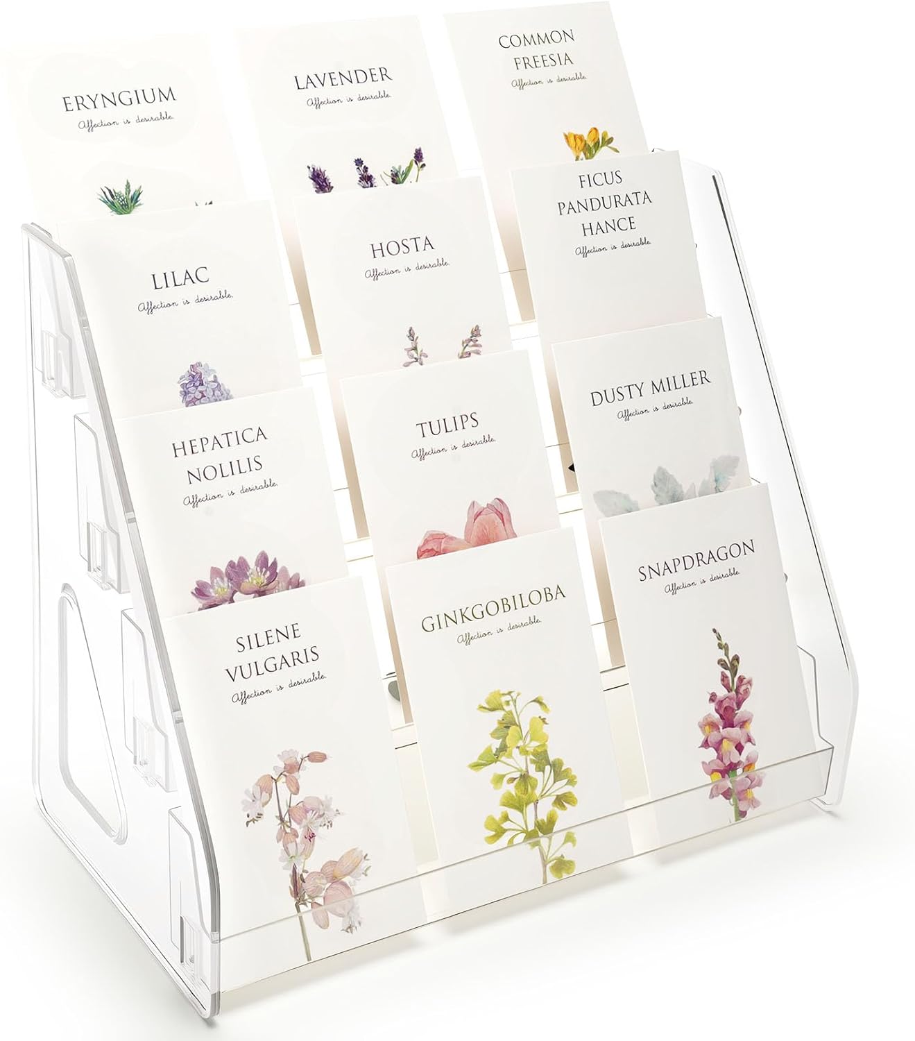 Trading Card Display Stand, Vertical Holder for Baseball Basketball Sports Graded Card Display Stand Tabletop for PSA BGS SGC Slabs, Snap-On Assembly(4 Tier, 1 Pack)