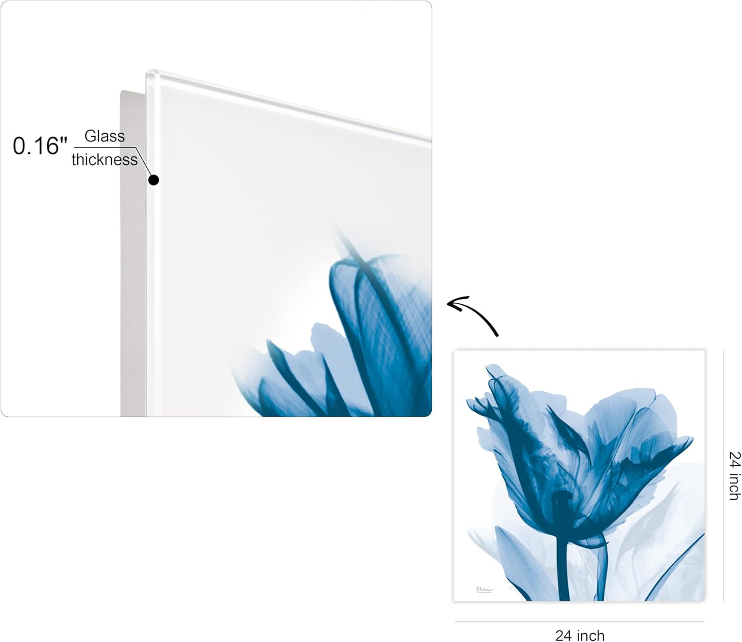 Empire Art Direct Frameless Free Floating Tempered Glass Panel Graphic Wall Art Ready to Hang, 24" x 24", Lusty Blue Tulip