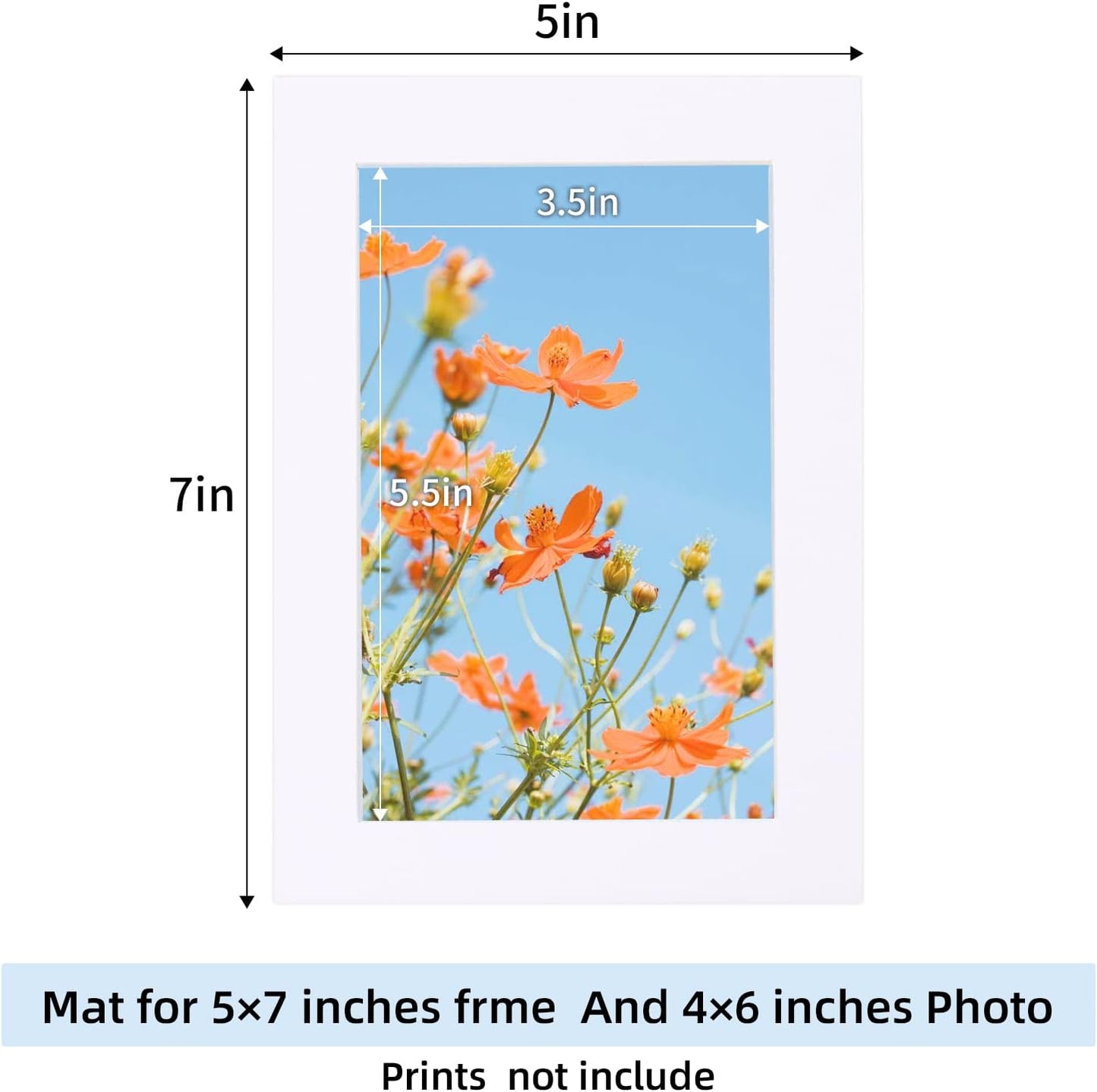 HOTUO 10 Pack 5x7 White Picture Mats, 4 Ply Thickness Frame Mattes for 4x6 Photo, Photo Mat with Core Bevel Cut, for Frames/Artwork/Print/Pictur.
