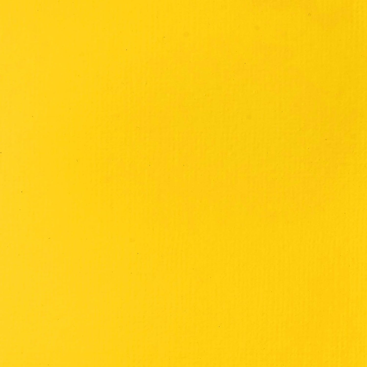 Liquitex BASICS Acrylic Paint, 250ml (8.5-oz) Tube, Cadmium Yellow Light Hue