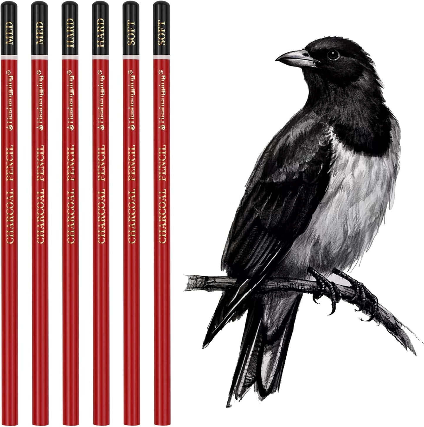 Heshengping Professional Charcoal Pencils Drawing Set Sketching Kit -6 Pieces Soft, Medium Hard Charcoal Pencils for Drawing Sketching Shading Artist Pencils for Beginners Artists