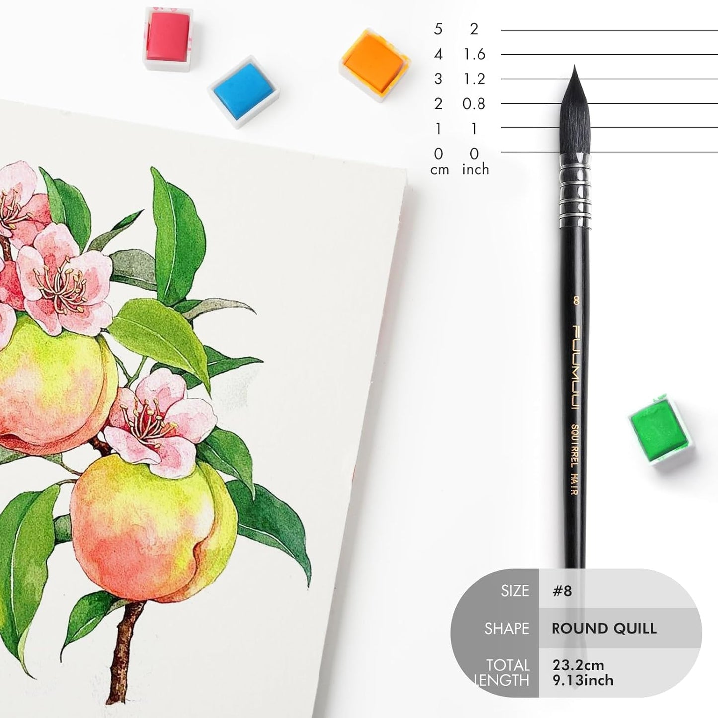 Professional Watercolor Brush, Fuumuui Natural Squirrel Hair Mop Brush, Round Quill Detail Fine Tip Watercolor Paint Brush for Water Color Gouache Ink Painting - Sizes #8