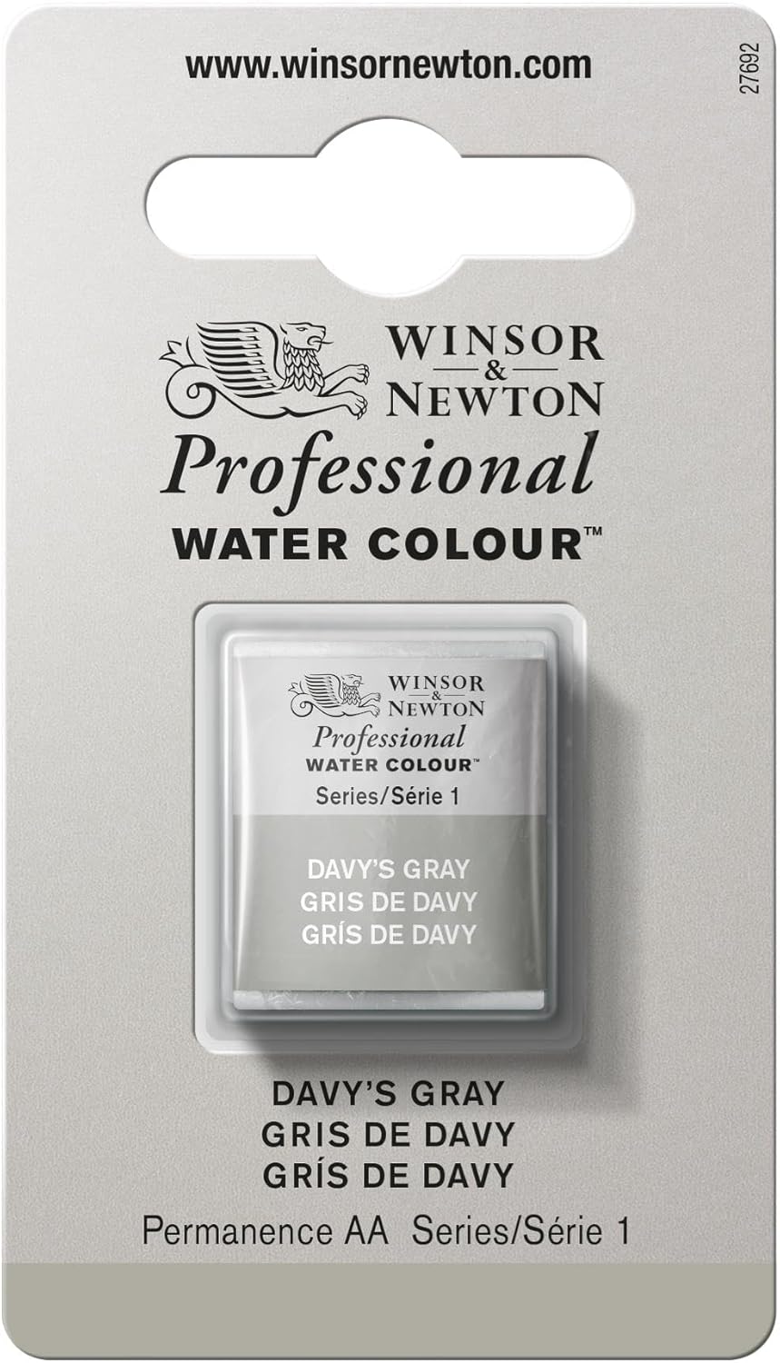 Winsor & Newton Professional Water Colour Paint, Half Pan, Davy's Gray