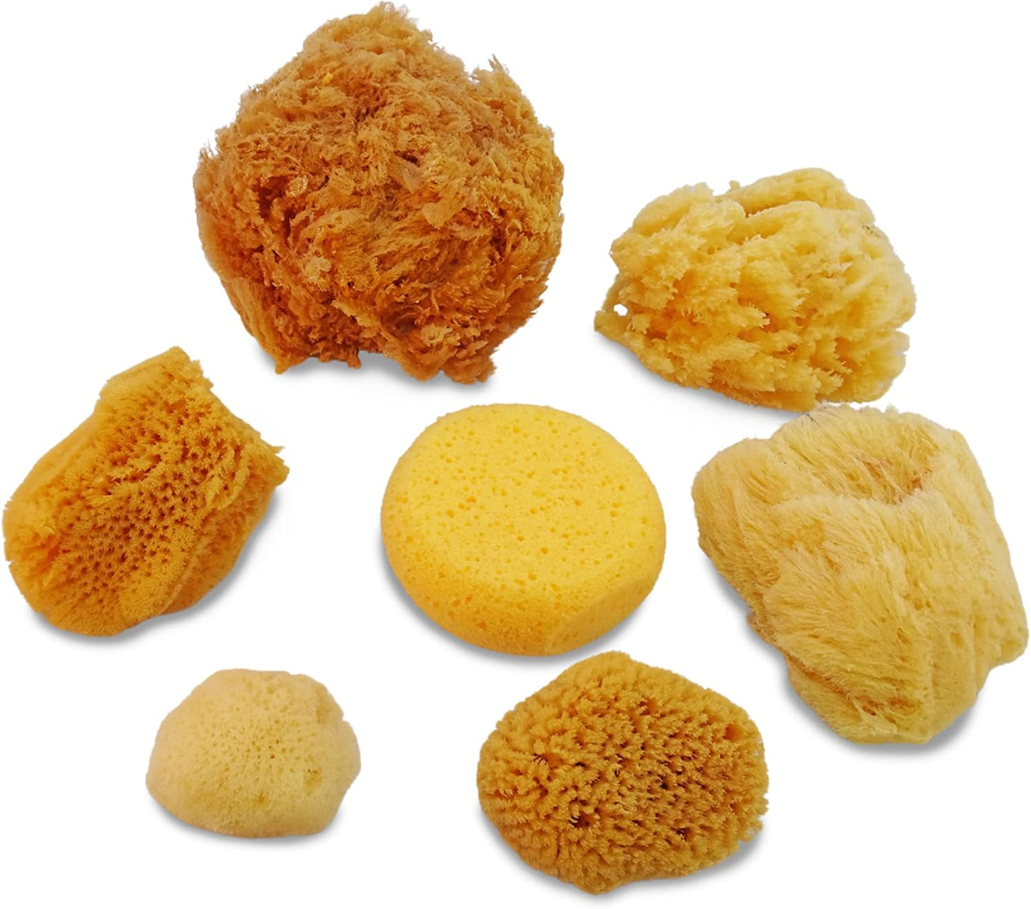 Natural Sea & Synthetic Sponges - Assorted Sizes 7pc Value Pack for Crafts & Artists: Great for Painting, Hobbies, Art, Effects, Ceramics, Clay, Pottery by Lullingworth®