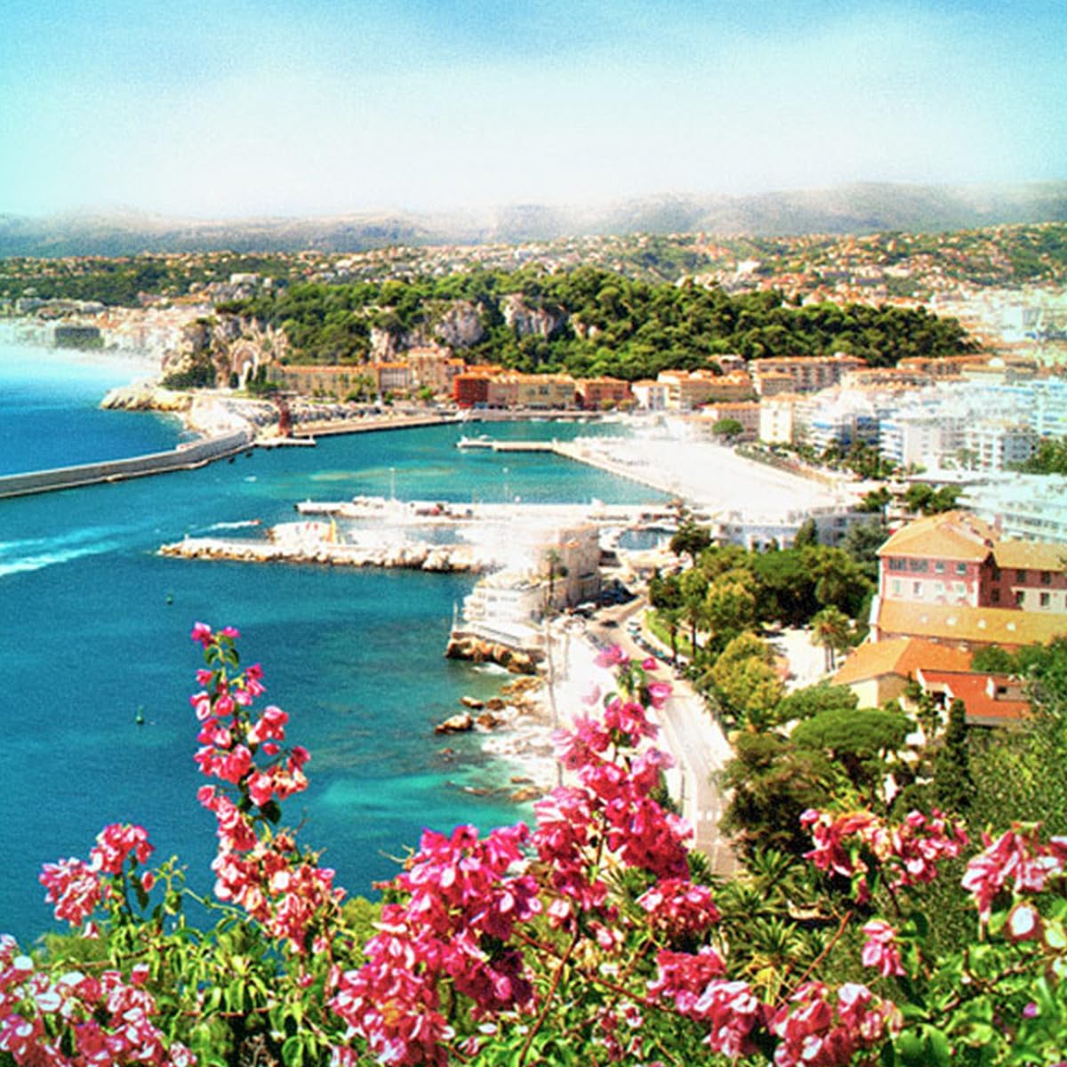 Charvin Extra Fine Oil Paint, Celadon Green Deep 20 ml - Triple-Milled, Rich Texture, Poppy Oil-Based, Light-Fast, Handmade, Archival Quality