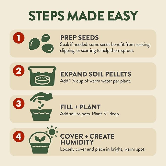 HOME GROWN Bonsai Tree Starter Kit – Unique Christmas Gift for Adults, Men, Women - Grow 4 Bonsais – DIY Crafts Hobby Gardening Kit for Plant Lovers, Mom, Dad - White Elephant Gifts for Adults