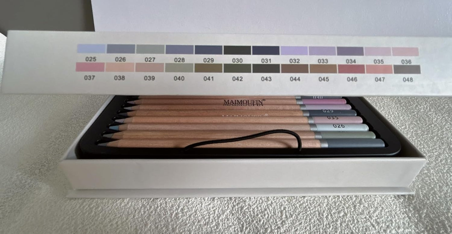 Soft Pastel Pencils 24 Colors Grey Tone Drawing Pencil Set Professional Grade Pastels Art Supplies for Drawing Sketching Coloring(Not Oil-Based) (Grey)