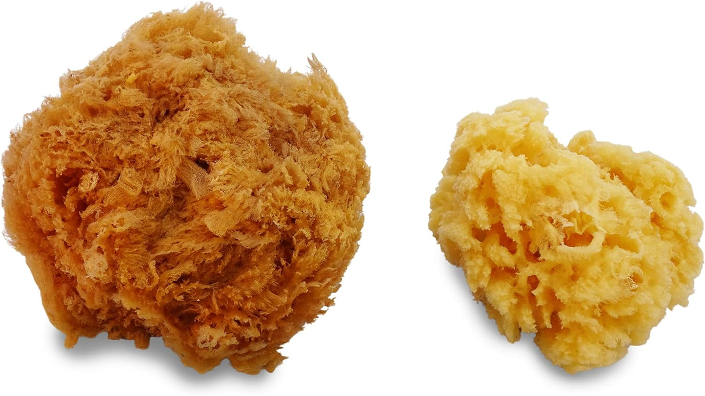 Natural Sea & Synthetic Sponges - Assorted Sizes 7pc Value Pack for Crafts & Artists: Great for Painting, Hobbies, Art, Effects, Ceramics, Clay, Pottery by Lullingworth®