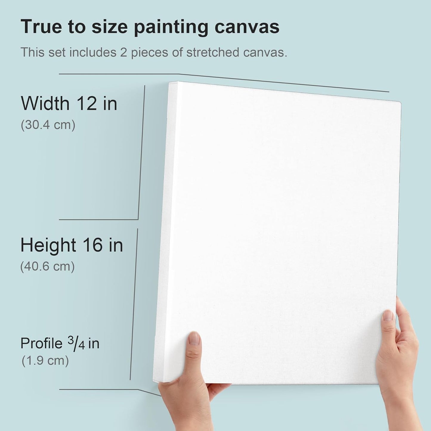 PHOENIX 12x16 Inch Pack of 2 Artist Canvas - Stretched Canvases for Painting - 3/4 Inch Profile, 100% Cotton 11 Oz. Gesso Primed White Blank Professional Canvas Oil & Acrylic Paints