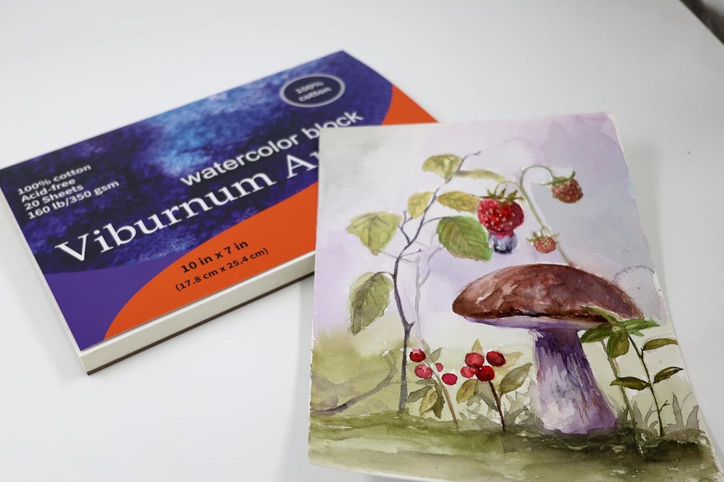 Viburnum Art Cotton Watercolor Paper Pad 160lb/350gsm Cold Press Watercolor Block Watercolor Paper Artist Paper for Adults and Students 20 Sheets 10 x 7 Inches