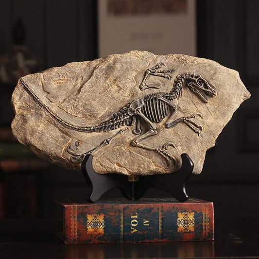 XINDAM Resin Dinosaur Fossil Statue Model Simulated Skeleton Home Office Display Decorative Craft Box Decoration (Style 2)