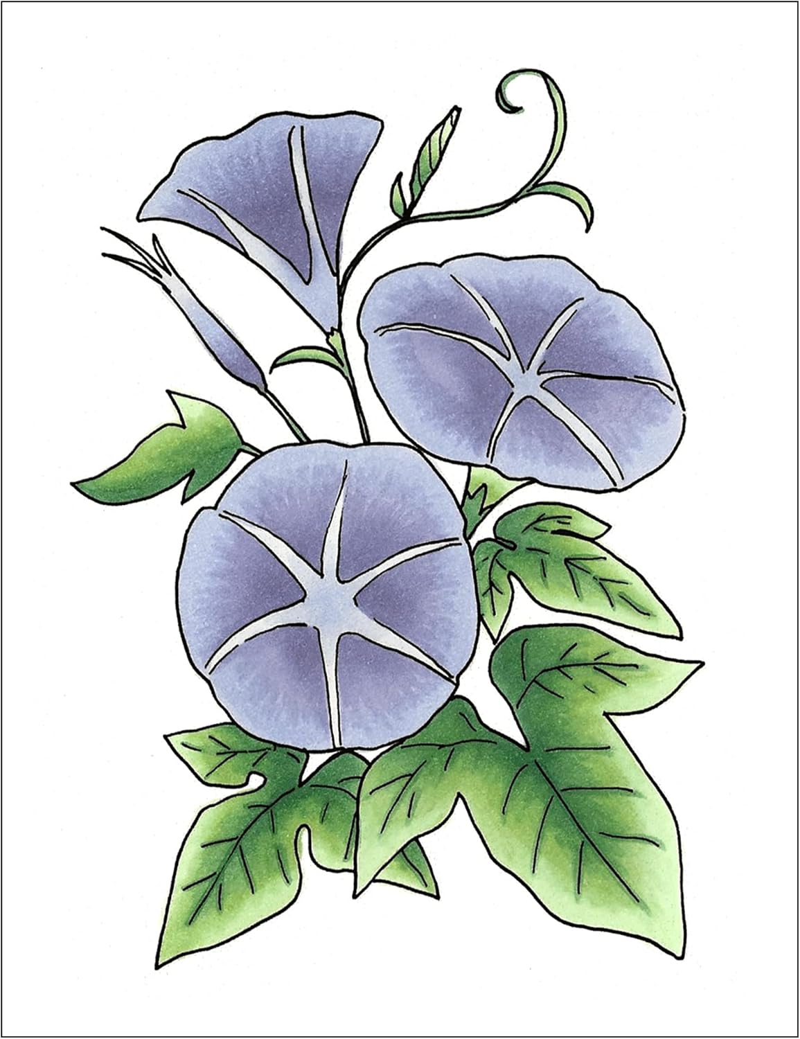 Copic Sketch, Alcohol-based Markers, 3pc Set, Color Fusion #1