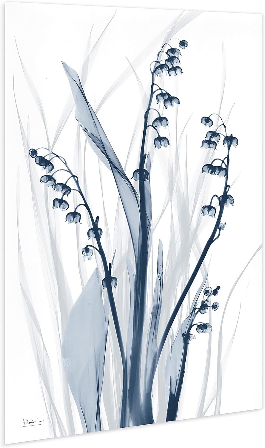 Empire Art Direct Frameless Free Floating Tempered Glass Panel Graphic Wall Art Ready to Hang, 32" x 48", Radiant Blues 2, Blue Flower