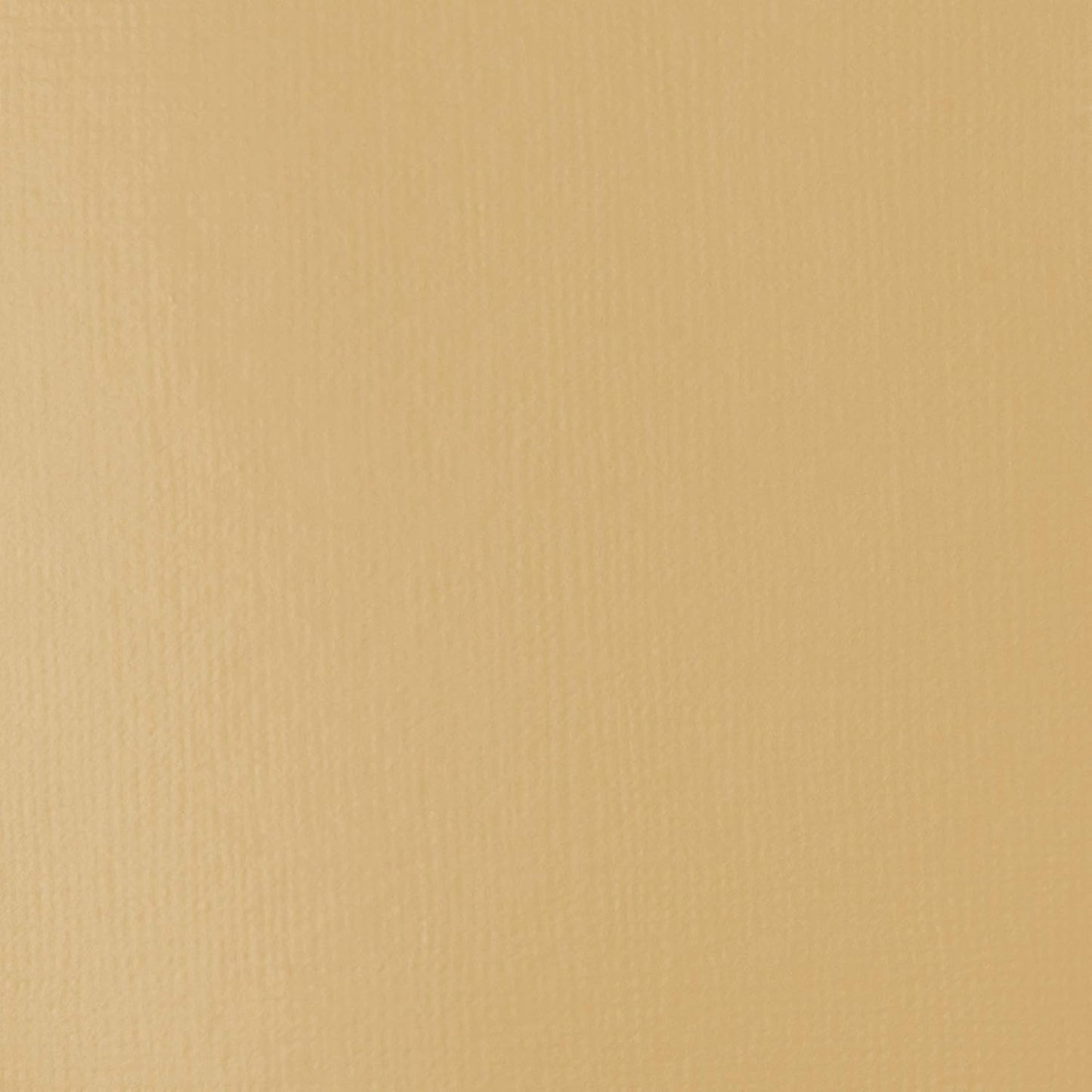 Liquitex BASICS Acrylic Paint, 250ml (8.5-oz) Tube, Unbleached Titanium