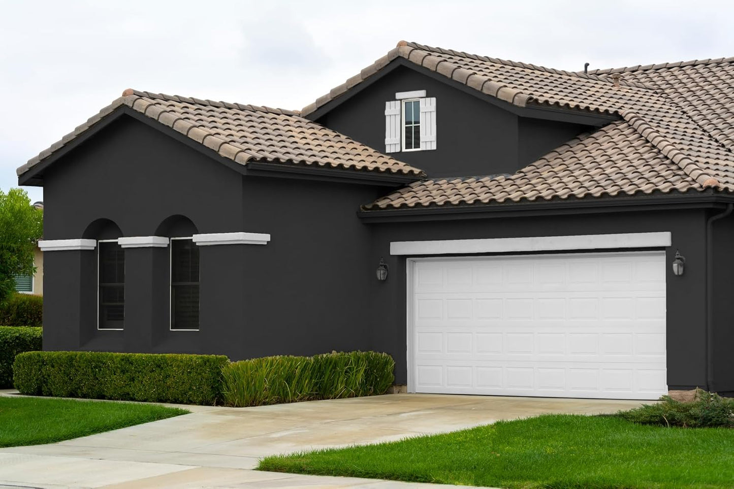 EVOLVE Paint & Primer: Environment-friendly, Low Sheen with One-coat Coverage for Interior & Exterior surfaces (Black Iron, 5-Gallon)