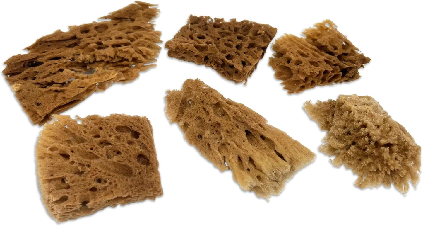 Lullingworth® Artist Natural Sea Sponges: Unbleached 10 Pack 2"-4" Value Set; Creative Art, Faux Painting Effects, Watercolor, Texturing, Marbling, Clay, Pottery, Ceramics, Crafts & Hobbies