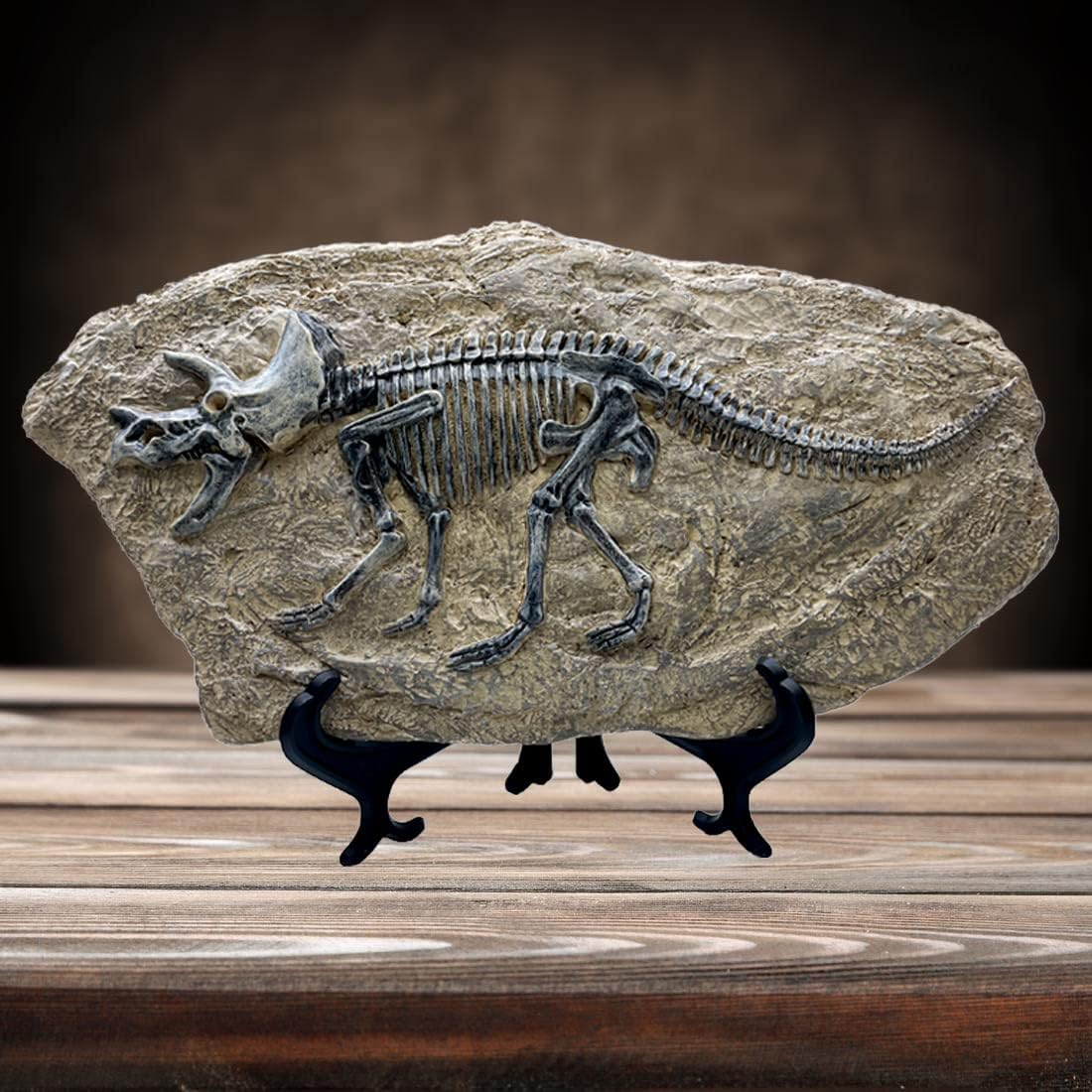 XINDAM Resin Triceratops Dinosaur Fossil Statue Model Simulated Skeleton Home Office Display Decorative Craft Box Decoration (Style 6)