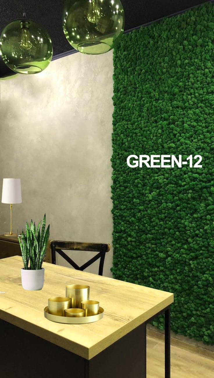 Preserved Reindeer Moss Natural Green DIY Kit Gardenning Art Wall Decor Florist Decor Easter Table Decor Wedding