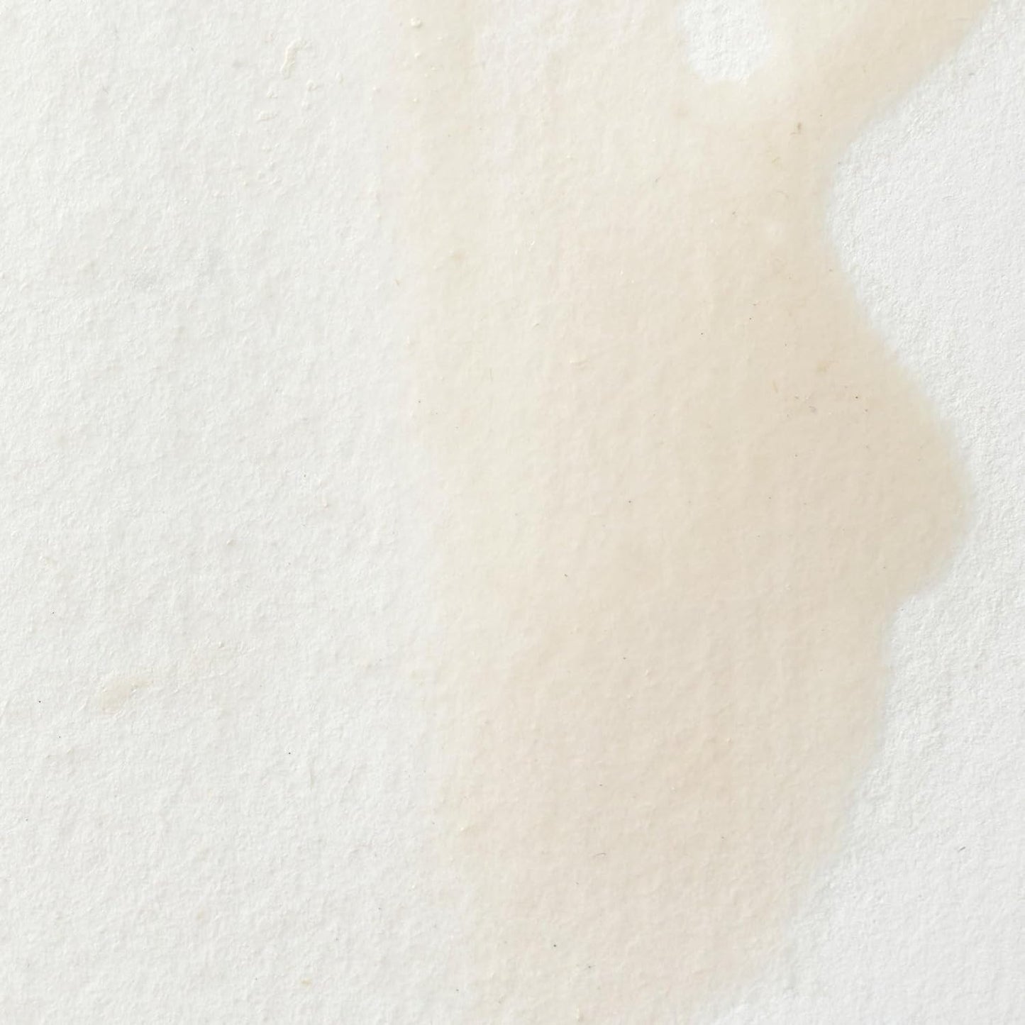 Winsor & Newton Professional Water Colour Paint, Half Pan, Chinese White