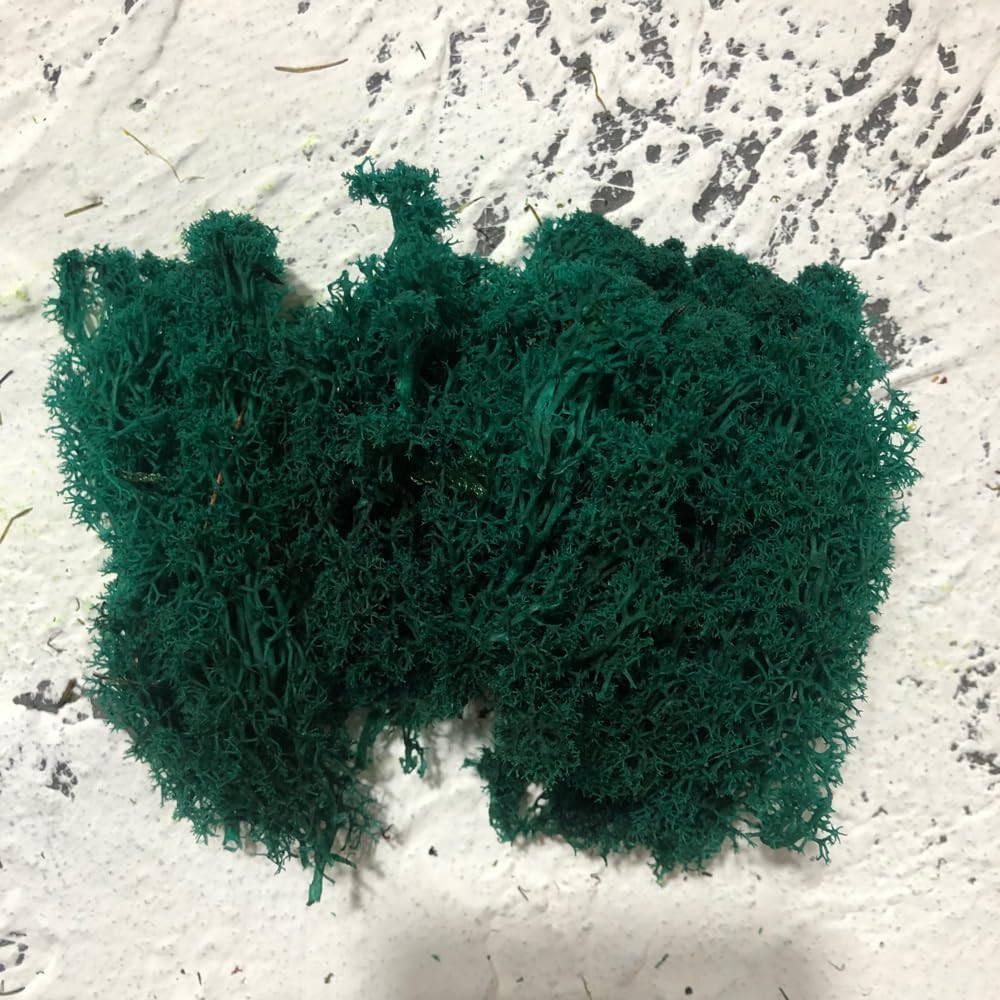 Preserved Reindeer Moss Natural Green DIY Kit Gardenning Art Wall Decor Florist Decor Easter Table Decor Wedding