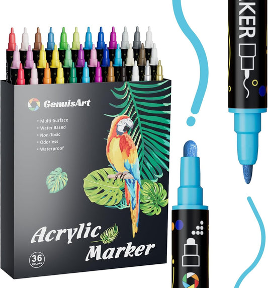 36 Colors Acrylic Paint Pens, Acrylic Paint Markers Dual Tip, with Dot Tip and Fine Tip, Acrylic Markers for Rock Painting, Wood, Canvas, Fabric, Paper, DIY Crafts Making Art Supplies (36)