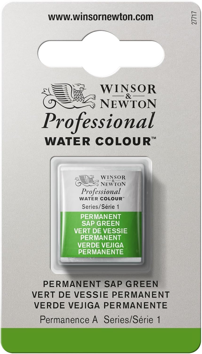 Winsor & Newton Professional Water Colour Paint, Half Pan, Permanent Sap Green