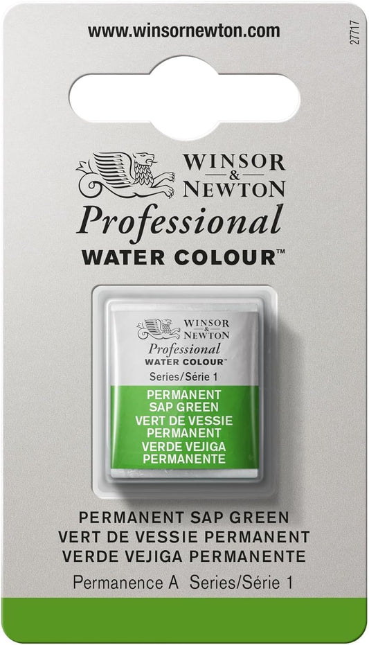 Winsor & Newton Professional Water Colour Paint, Half Pan, Permanent Sap Green