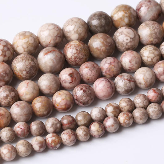 32PCS 12MM Flowery Cowry Fossil Stone Beads Energy Healing Beads for DIY Jewelry Bracelet Necklace Making for Jewelry Making15Inch
