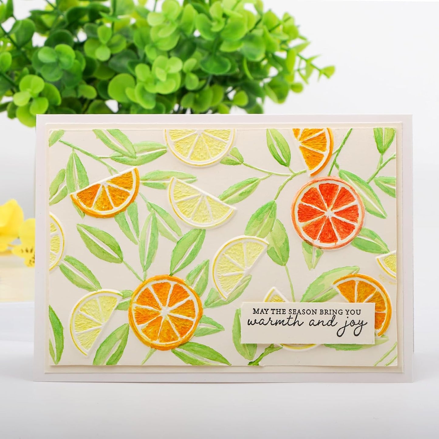 BAOFALI 3D Embossing Folders Lemon Textured for Card Making,Embossing Template Paper Card Embossing Stencil for DIY Scrapbooking Photo Album Card Paper Craft Decoration 6.3" L x 4.5" W