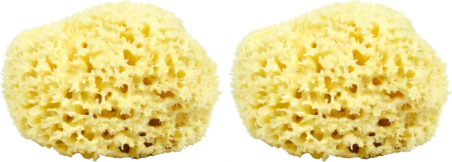 Sea Wool Sponge - All Natural Honeycomb Renewable Sea Sponge, Hand Cut, Jumbo, Approx. 7 Inches (Pack of 2)