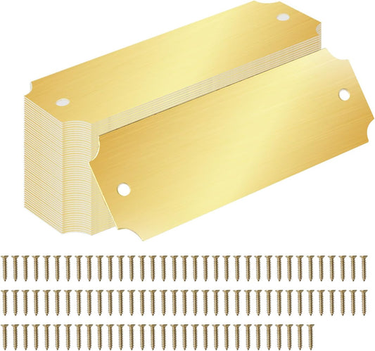 40 Pcs Name Plates Laser Engraved Solid Brushed Metal Plate with 100 pcs Screws Tag Frame Name Custom Name Personalized Plaque Blank Label with Screws and Adhesive Backing for DIY (1'' X 3'')