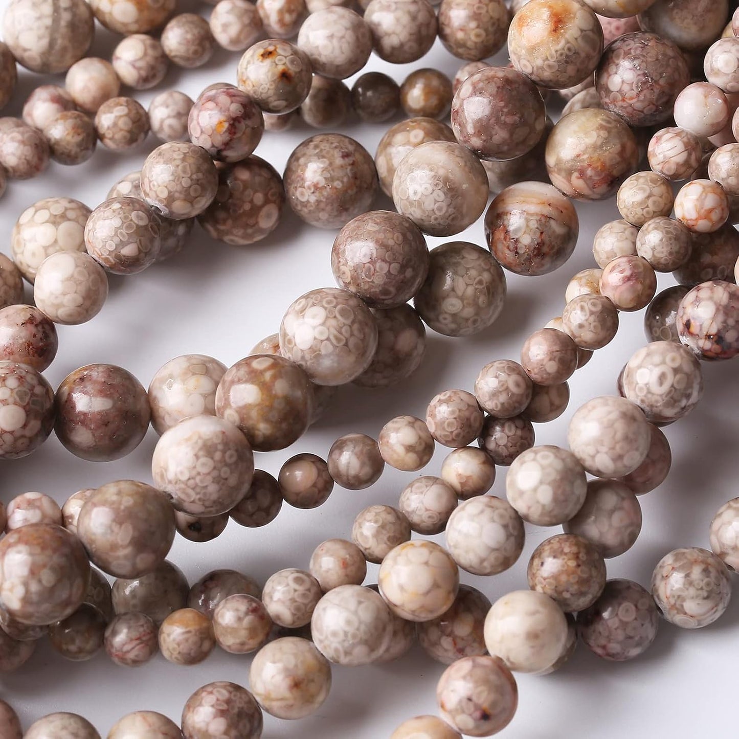 48PCS 8MM Natural Flowery Cowry Fossil Stone Beads Energy Healing Beads for DIY Jewelry Bracelet Necklace Making for Jewelry Making15Inch