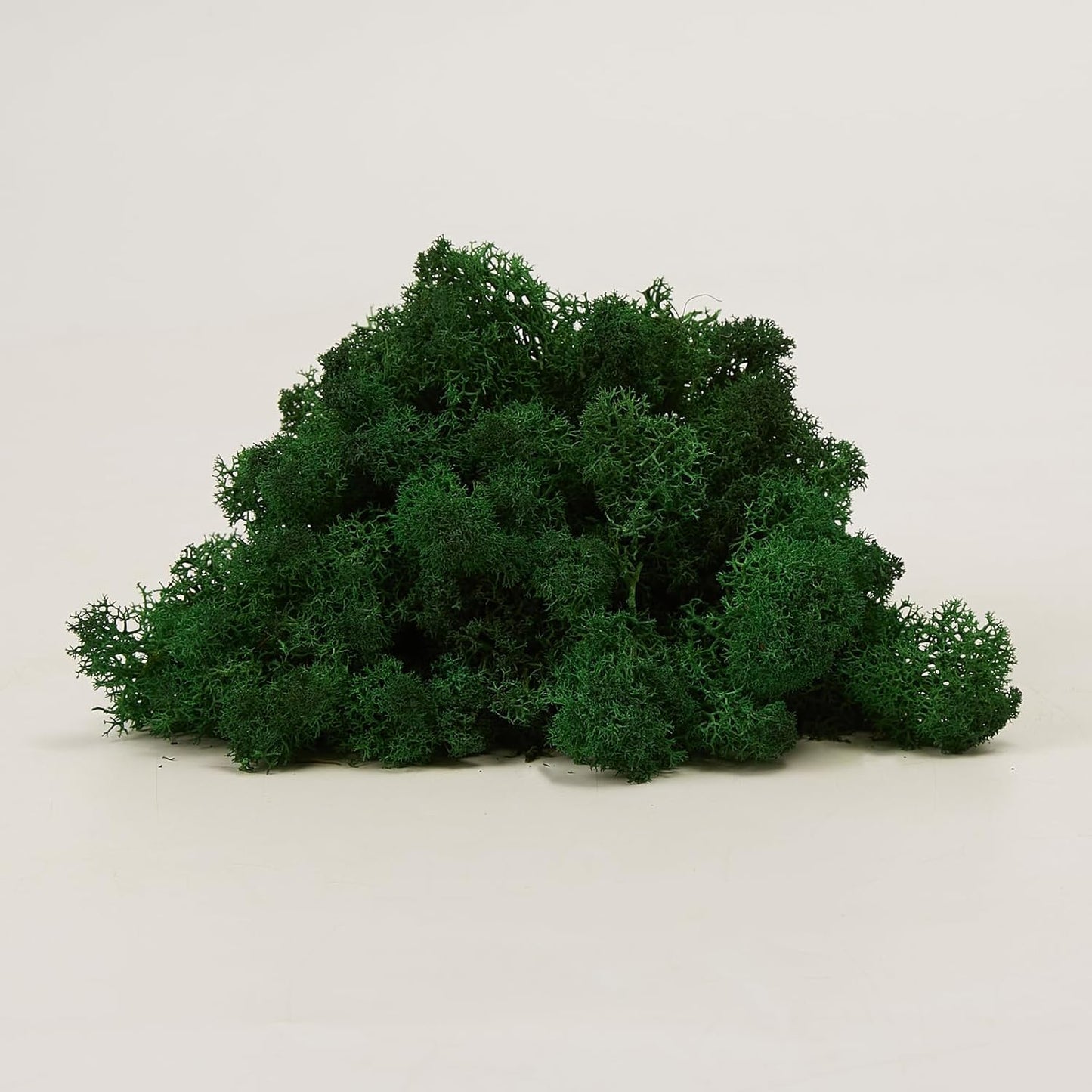 Preserved Reindeer Moss Natural Green DIY Kit Gardenning Art Wall Decor Florist Decor Easter Table Decor Wedding