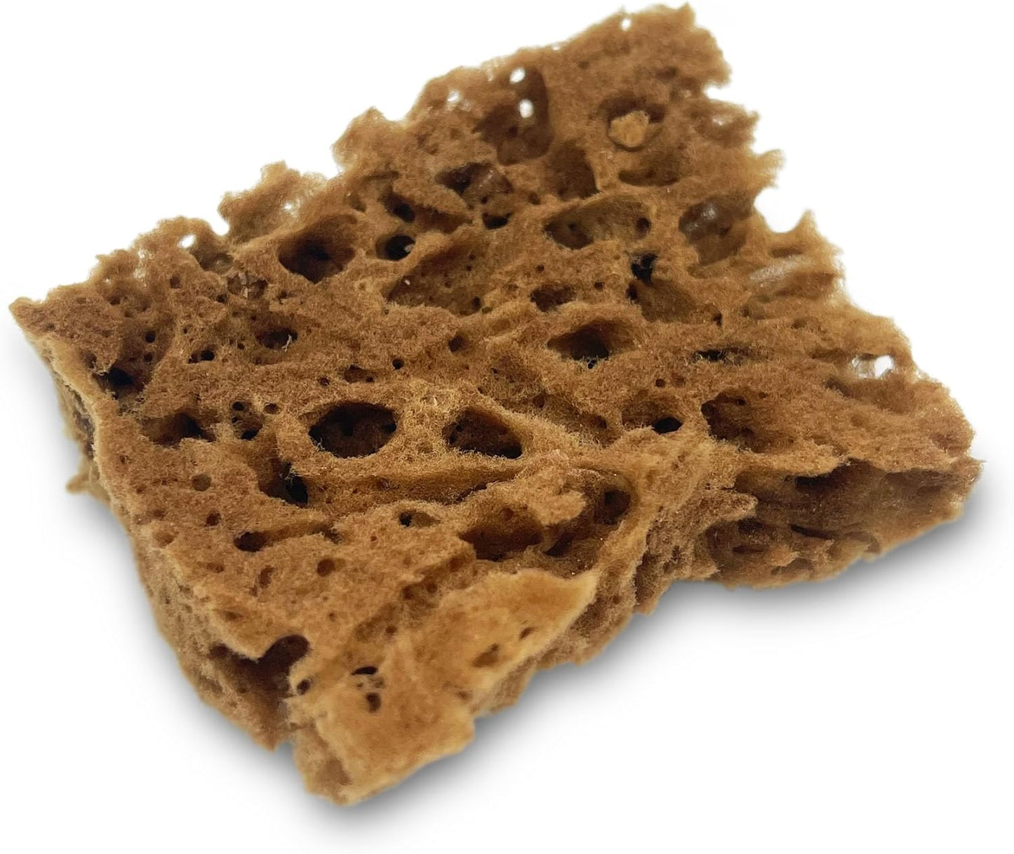 Lullingworth® Artist Natural Sea Sponges: Unbleached 10 Pack 2"-4" Value Set; Creative Art, Faux Painting Effects, Watercolor, Texturing, Marbling, Clay, Pottery, Ceramics, Crafts & Hobbies