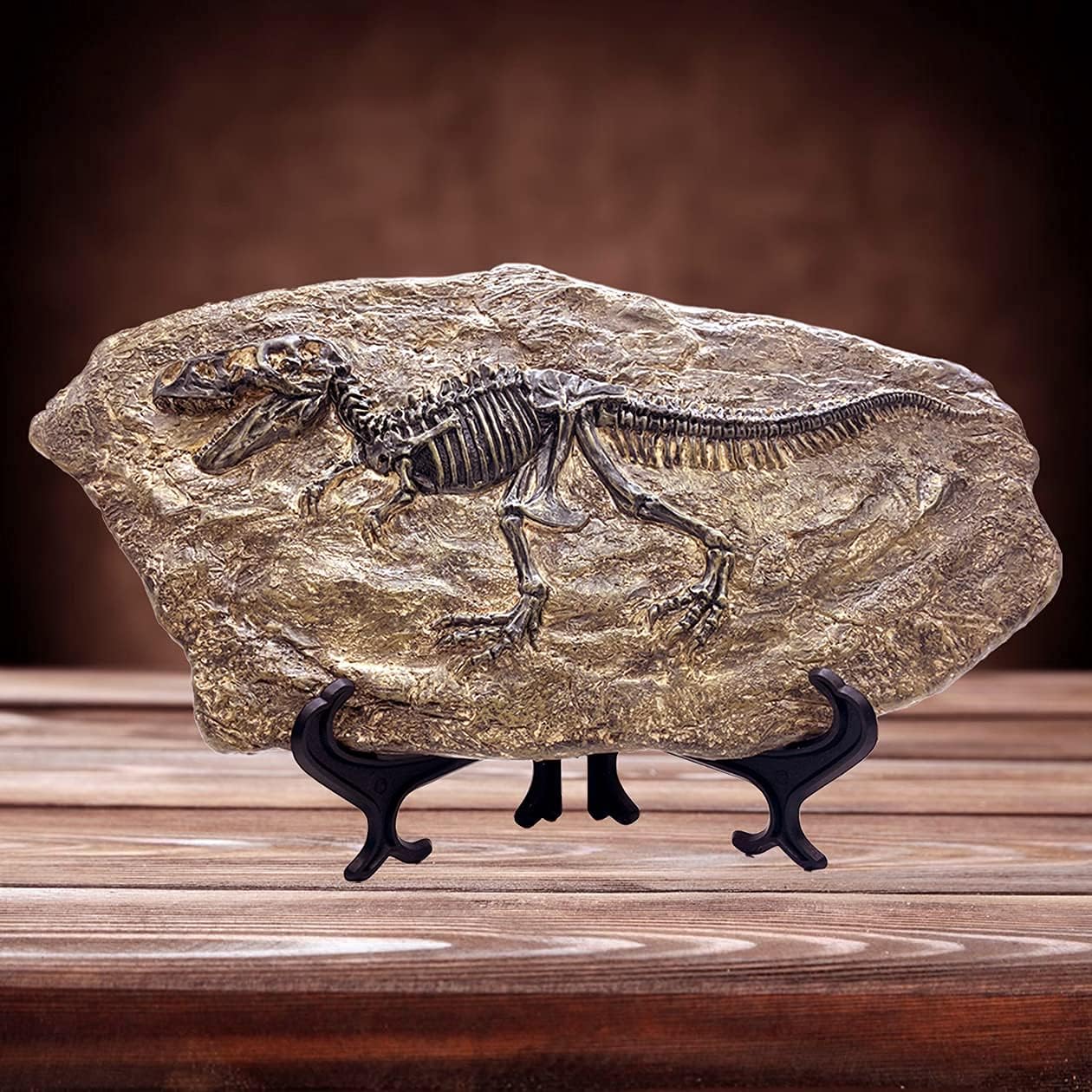 XINDAM Resin Tyrannosaurus Rex Dinosaur Fossil Statue Model Simulated Skeleton Home Office Display Decorative Craft Box Decoration (Style 5)