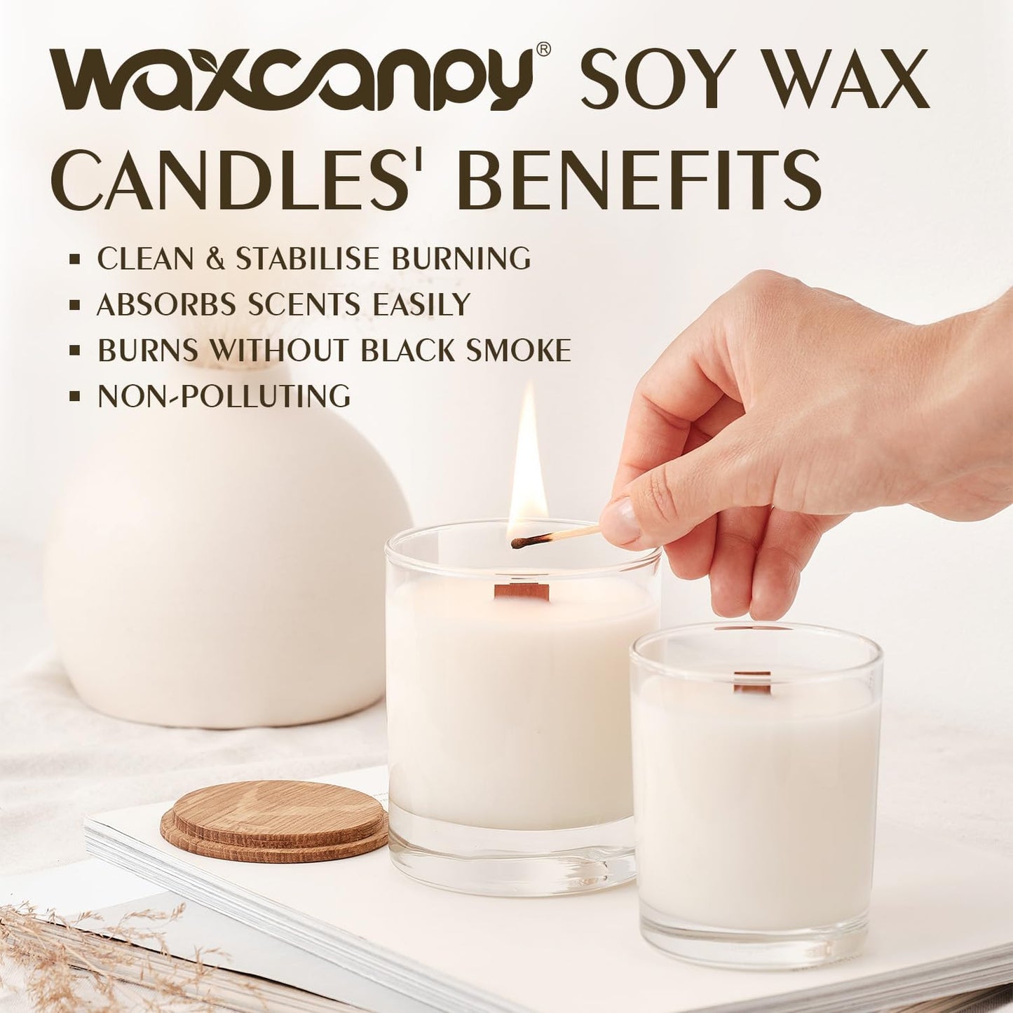 Soy Wax Flakes, Waxcanpy Natural Candle Wax, Organic Soy Wax for Candle Making from Farm, No Additives, Harmless and Pure (0.5lb)