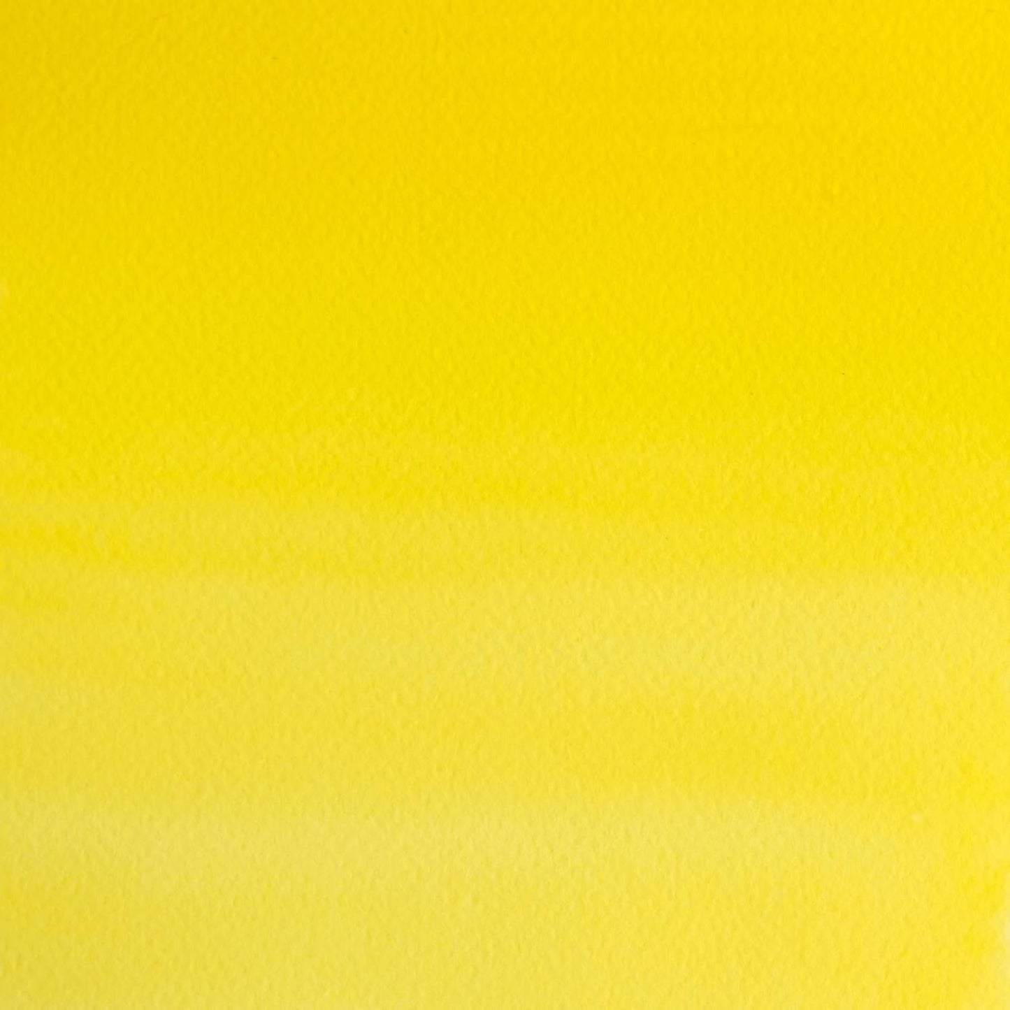 Winsor & Newton Professional Water Colour Paint, 0.47-oz Tube, Cadmium Lemon