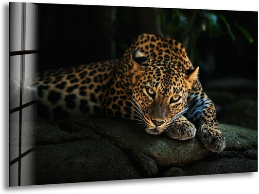 My Photostation.com 30Wx24H'' Fierce Leopard Glass Wall ArtTempered Glass Printing Wall Decor Large Wall Art Wall Hangings