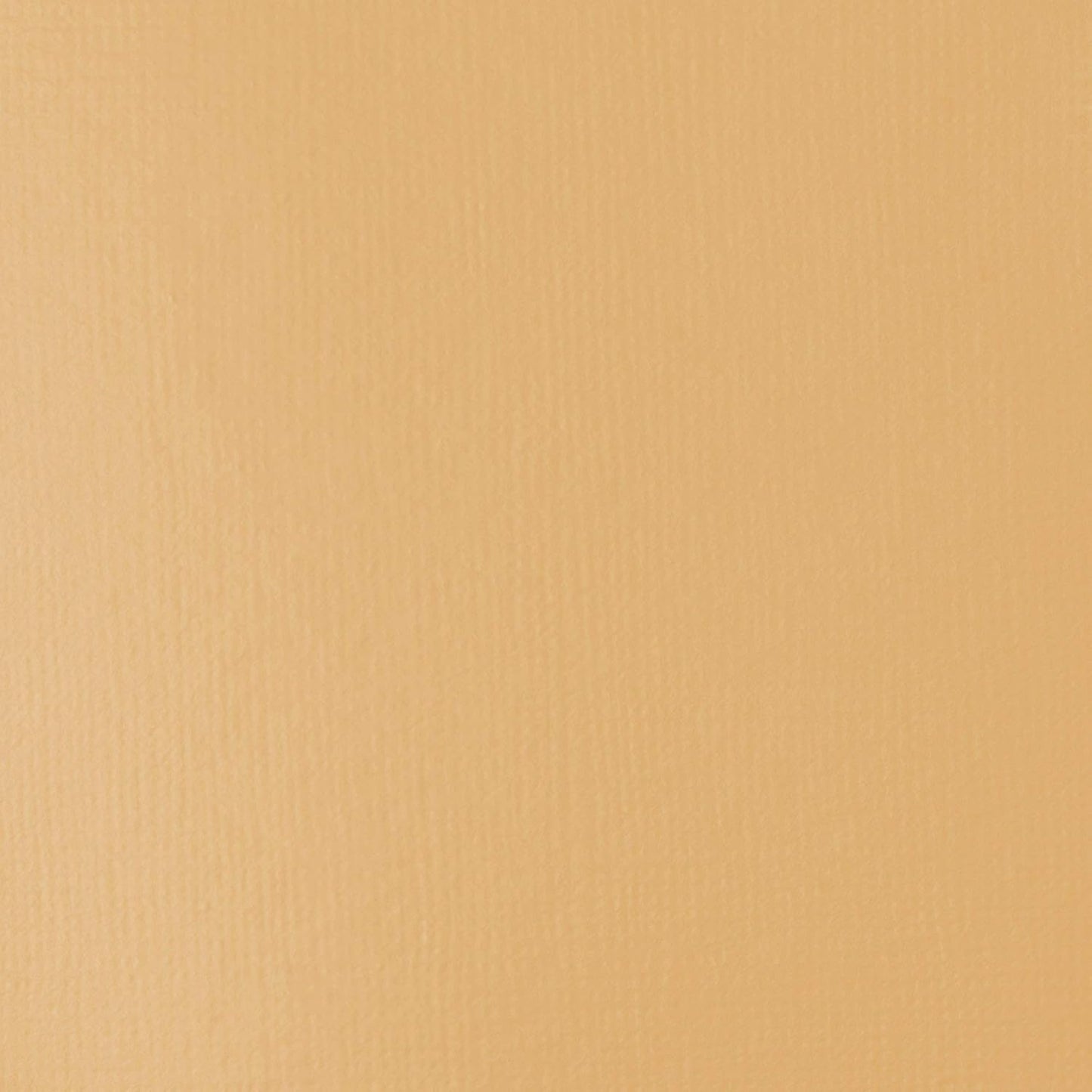 Liquitex BASICS Acrylic Paint, 400ml (13.5-oz) Bottle, Unbleached Titanium