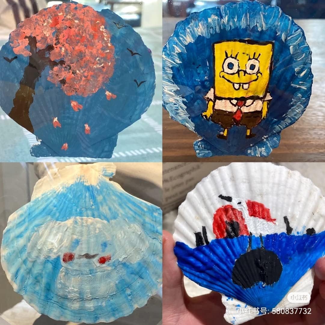 21Pcs Natural Scallop Sea Shells,Ocean Beach Seashells Perfect for Home Decoration, Art Craft, Vase Filler Fish Tank,Lion's Paw Baking Shells,Baking Shells for Serving Food (2.7-3.2inch)