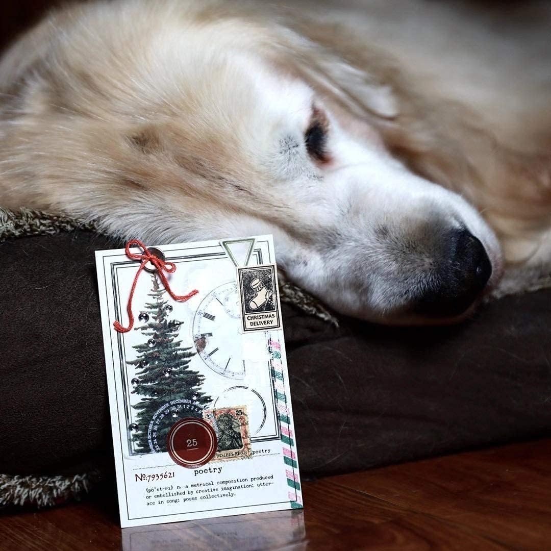 Vintage Vellum Stickers Floral Plants Elements Scrapbooking Supplies Flowers Botanic Natural Translucent Paper Self-Adhesive Junk-Journal Items (Plant World)