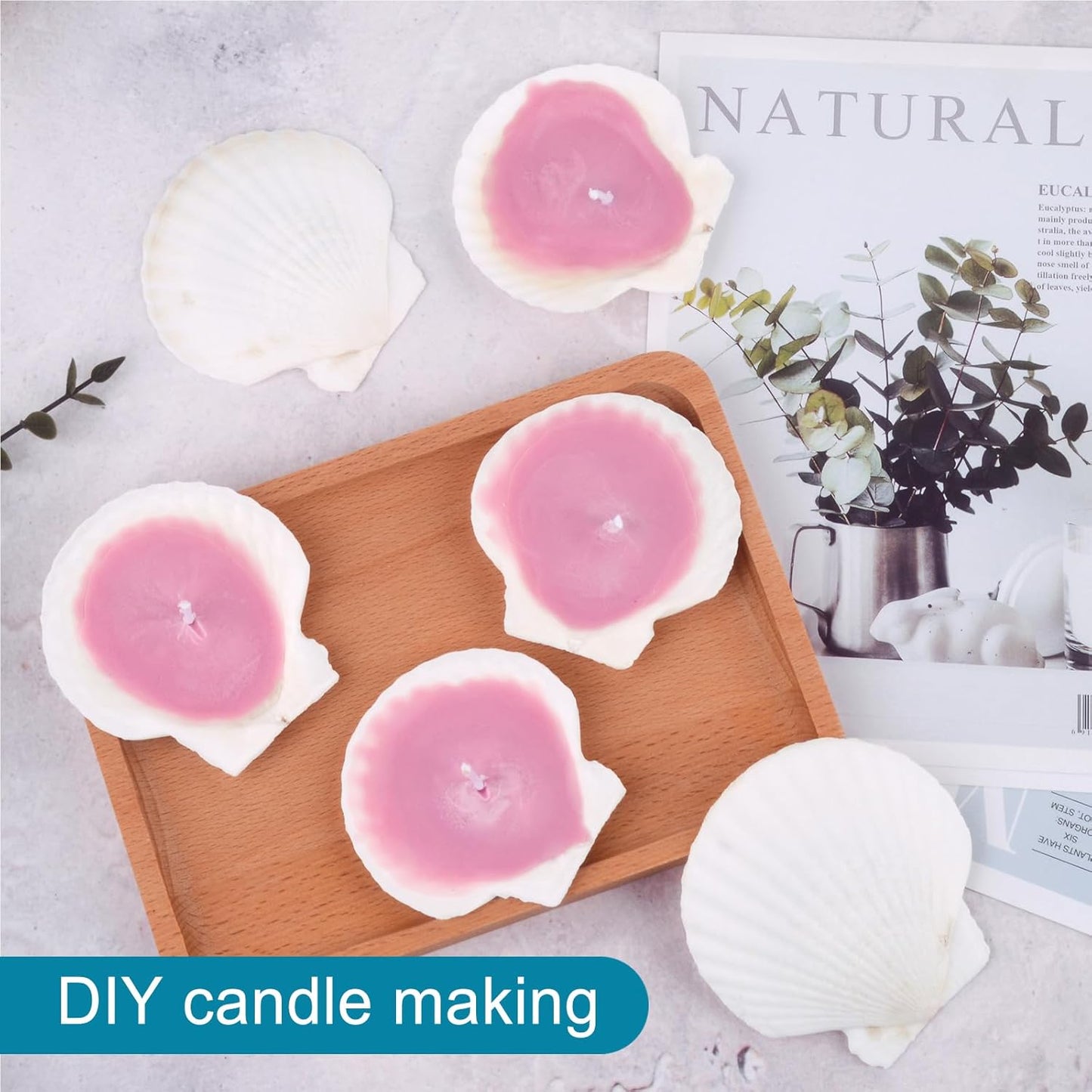 20PCS Natural Scallop Shells for Crafts & Baking - 6 Large (4-5in) & 14 Medium (2-3in) Seashells - DIY Painting, Beach Wedding Decor, Resin Art, Coastal Home Decoration, Party Centerpieces